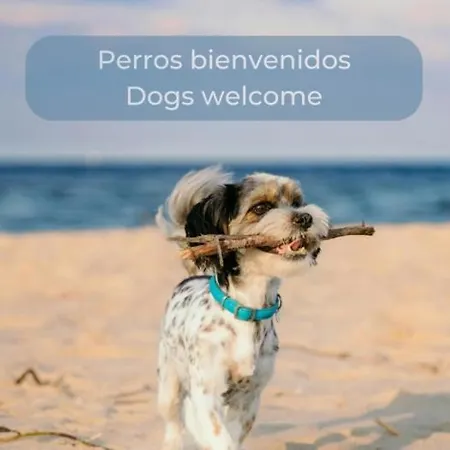 Lima Limon By The Sea, 2 Bedrooms, Central, High Speed Internet, Desk * Cotillo