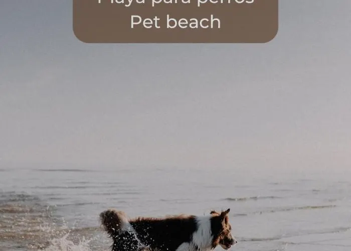 Lima Limon By The Sea, 2 Bedrooms, Central, High Speed Internet, Desk Cotillo