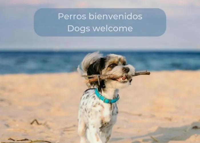 Lima Limon By The Sea, 2 Bedrooms, Central, High Speed Internet, Desk * Cotillo